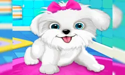 Puppy: Pet Salon & Dog Daycare image