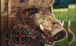 BOAR HUNTING JIGSAW image