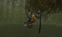 Mountain Bike Rider image