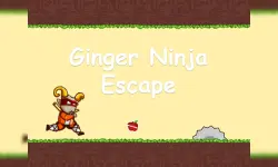Ginger Ninja Escape image