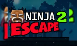 Ninja Escape 2 image