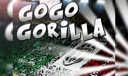 Go Go Gorilla image
