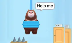 Save The Bear image