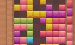 Bricks & Blocks image