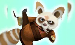 Kungfu Panda Shifu image