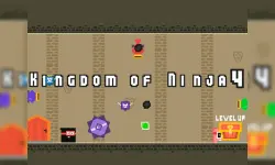 Kingdom of Ninja 4 image