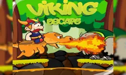 Viking Dragons image