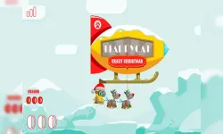 FlappyCat Crazy Christmas image