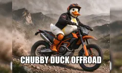 image bg Chubby Duck Offroad