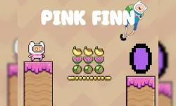 Pink Finn image
