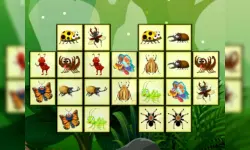Connect The Insects image