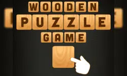 Wooden Puzzle Game image