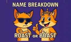 Name Breakdown Roast Or Boast image