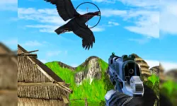 Chicken and Crow Shoot image