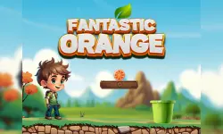 Fantastic Orange image