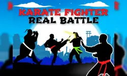 Karate Fighter : Real battles image