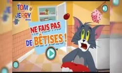 Ne fais pas de betises image