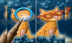 Find Differences For Kid image