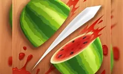 Fruit Ninja Game image