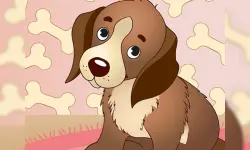 Puppy Match3 image