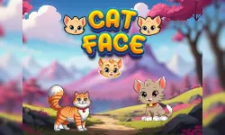 Cat Face image
