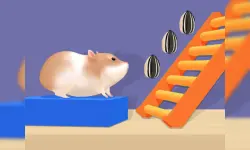 Hamster Stack Maze image