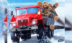 Truck Driver Snowy Roads image