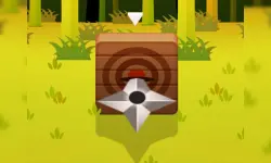 Ninja Dart image