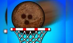 Super coconut Basket image
