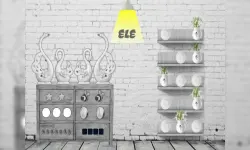 Black and white House Escape image