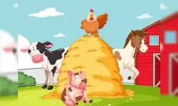 Farm Puzzle image