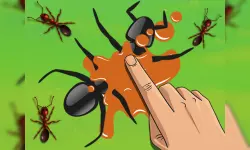 Smash the Ant image