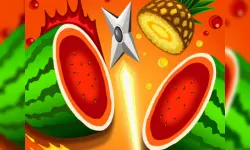 Fast Fruit Master image