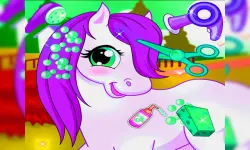 Horse Pet Salon image