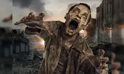 Zombie Mayhem Online image