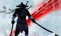 Ninja Arashi image