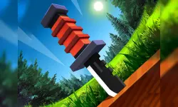 Knife Flipp image