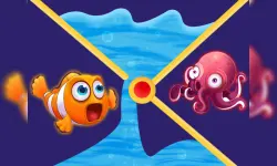 Clownfish Pin Out image
