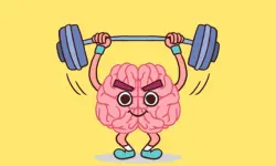 Perfect Brain 3D Puzzle image