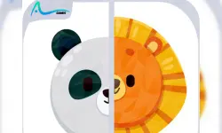 Baby Games Animal Memory Game for Kids image