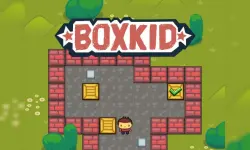 BoxKid image
