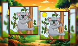 Animal: Find The Differences image