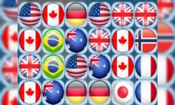 FLAG CONNECT image