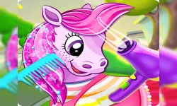 pet pony salon image
