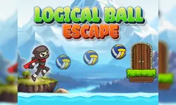 Logical Ball Escape image