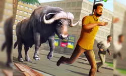 Angry Bull Attack Wild Hunt Simulator image