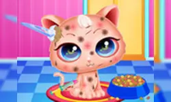Cute Kitty Care - Pet Makeover image