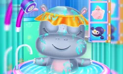 Baby Hippo Care image
