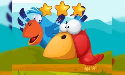 Fun Birds Hidden Stars image