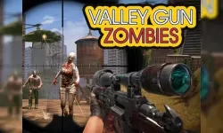 Valley Gun Zombies image